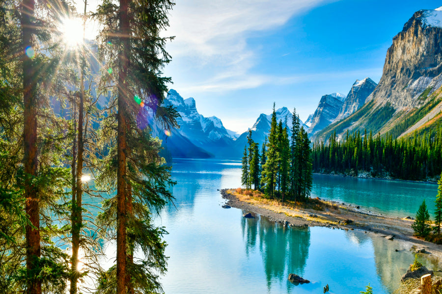 Mountain With Forest & River Wall Art Decor 100% Australian Made - Bella Home Decor