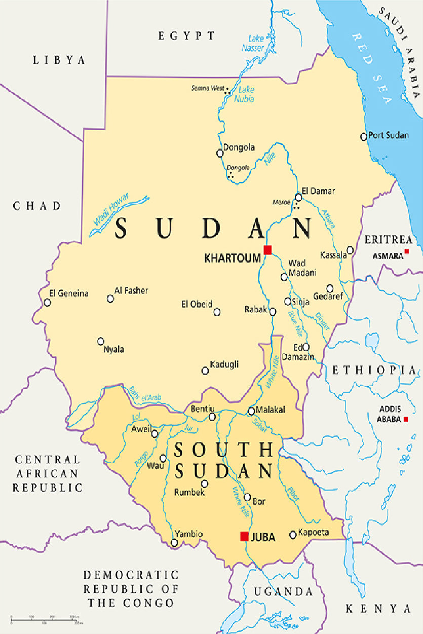 Sudan And South Sudan Political Map Home Decor Premium Quality Poster Print Choose Your Sizes - Bella Home Decor