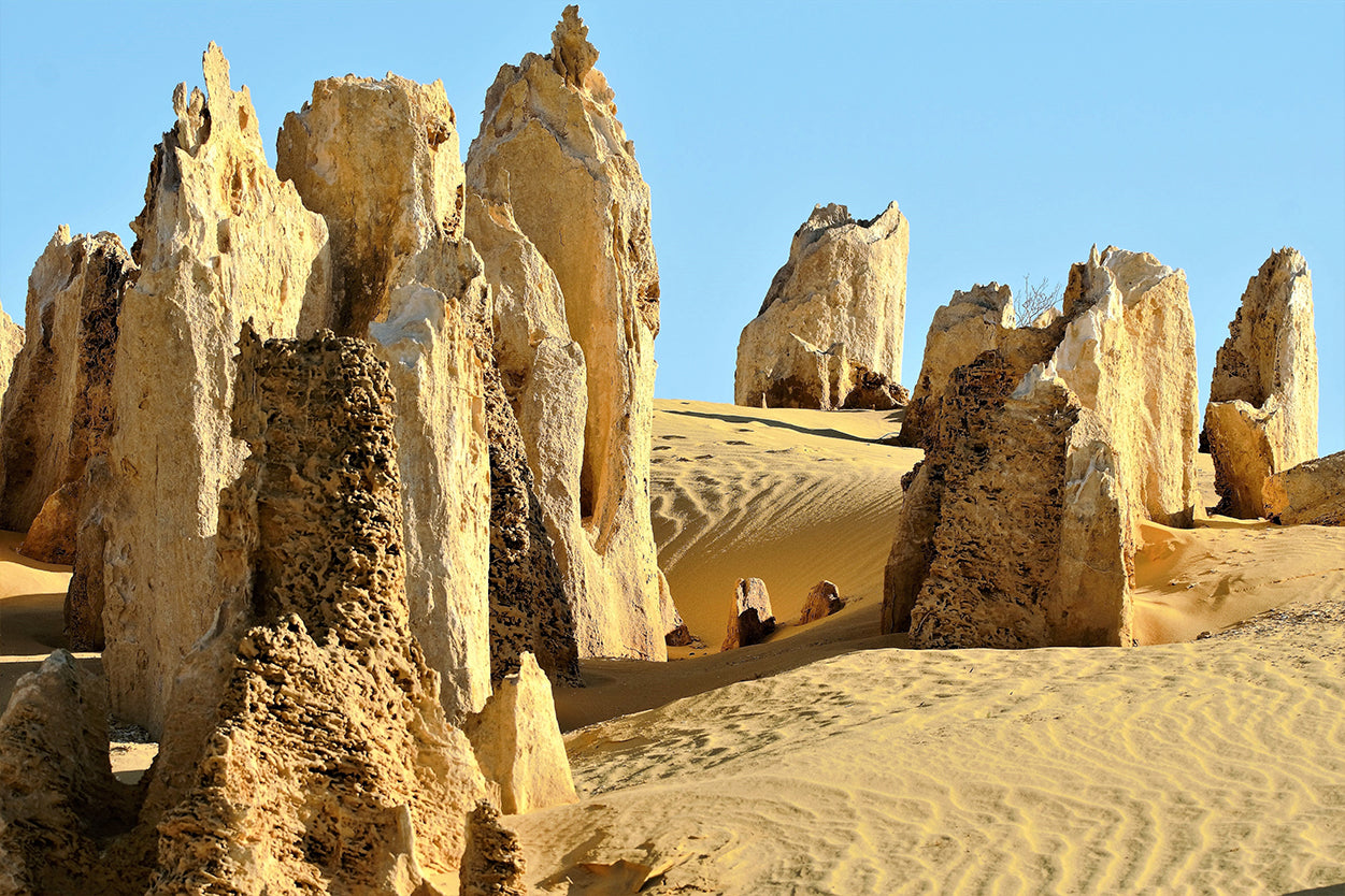 The Pinnacles Desert Western Australia National Park Wall Art Decor 100% Australian Made