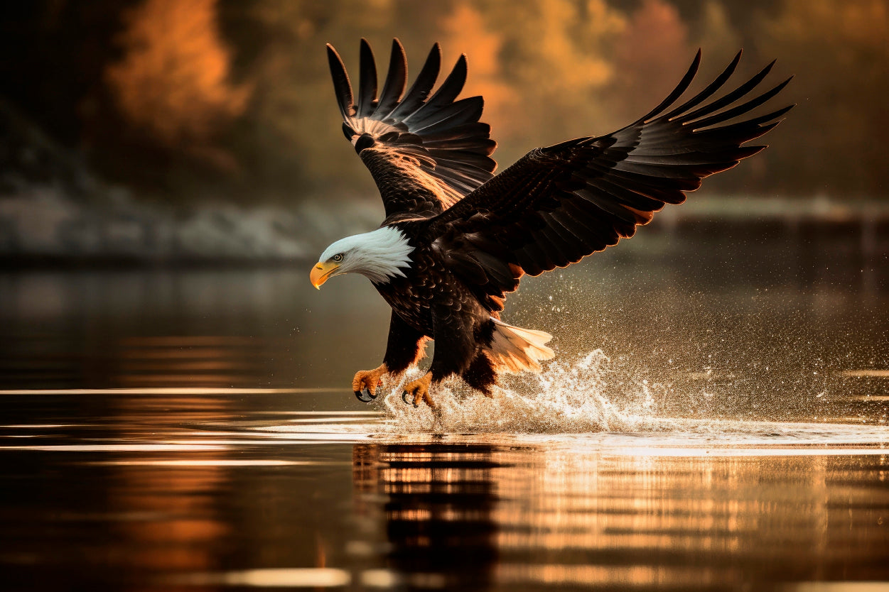 Eagle Flight Sunset River Forest Scenery Acrylic Glass Print Tempered Glass Wall Art 100% Made in Australia Ready to Hang