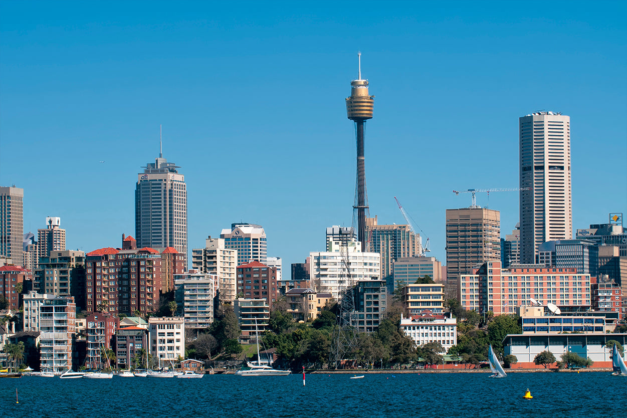 Sydney Tower New South Wales Harbor Cityscape Wall Art Decor 100% Australian Made