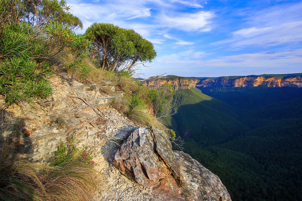 Blue Mountains National Park NSW Pulpit Rock Lookout Scenic View Wall Art Decor 100% Australian Made