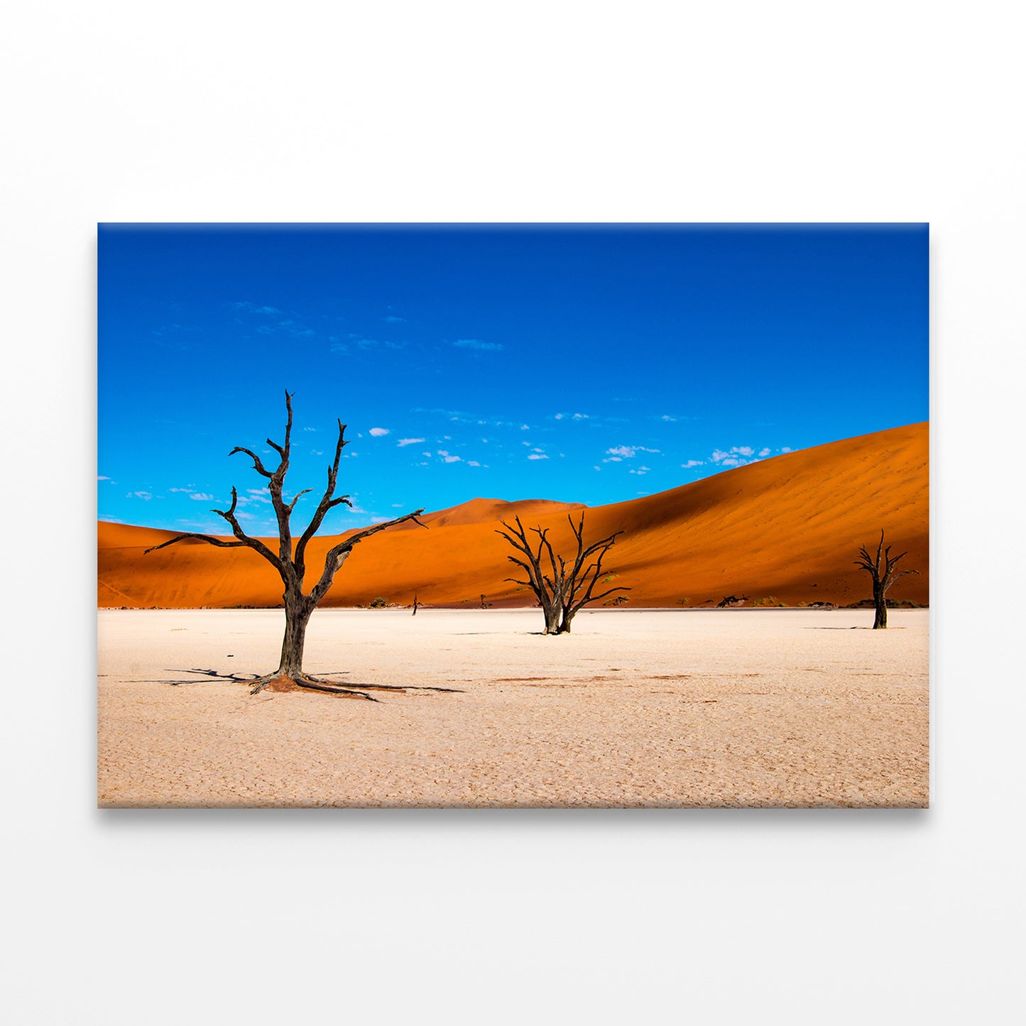 Deadvlei Clay Pan in Namibia Wall Art Decor 100% Australian Made - Bella Home Decor