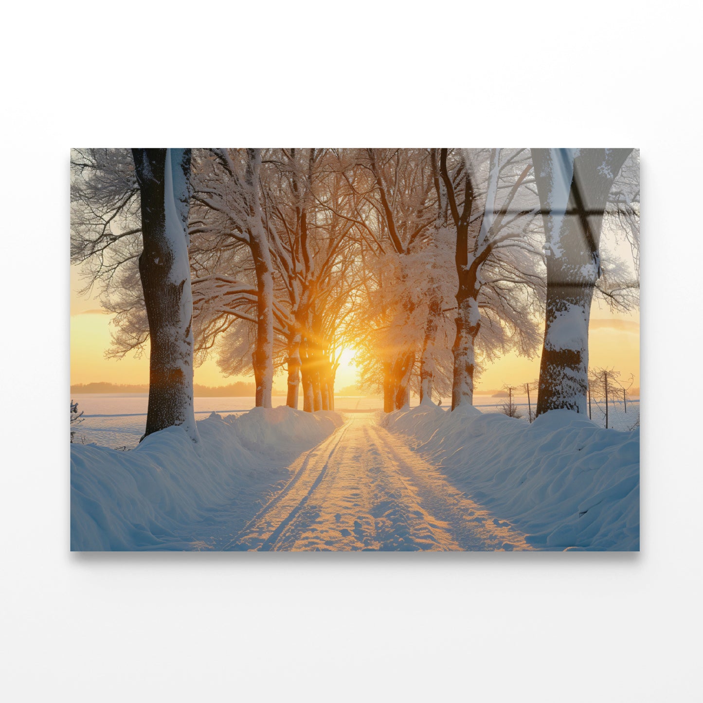 Winter with Tree Alley at Sunset Acrylic Glass Print Tempered Glass Wall Art 100% Made in Australia Ready to Hang - Bella Home Decor