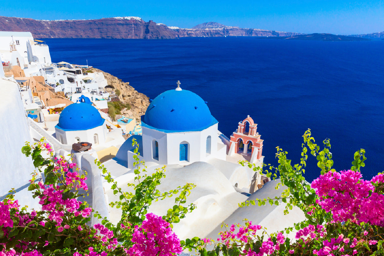 Pink Flowers in Santorini Greece Home Decor Premium Quality Poster Print Choose Your Sizes - Bella Home Decor