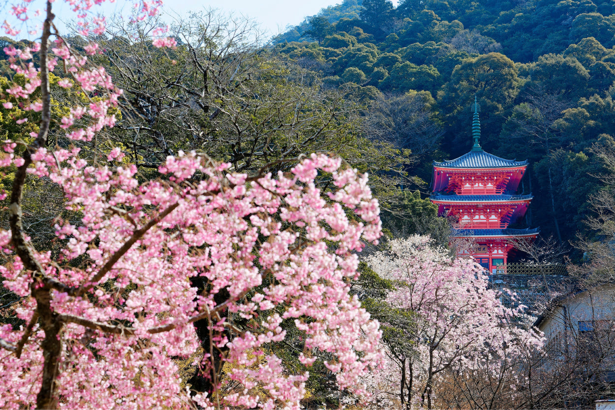 Kiyomizu Pagoda Sakura Japan Wall Art Decor 100% Australian Made