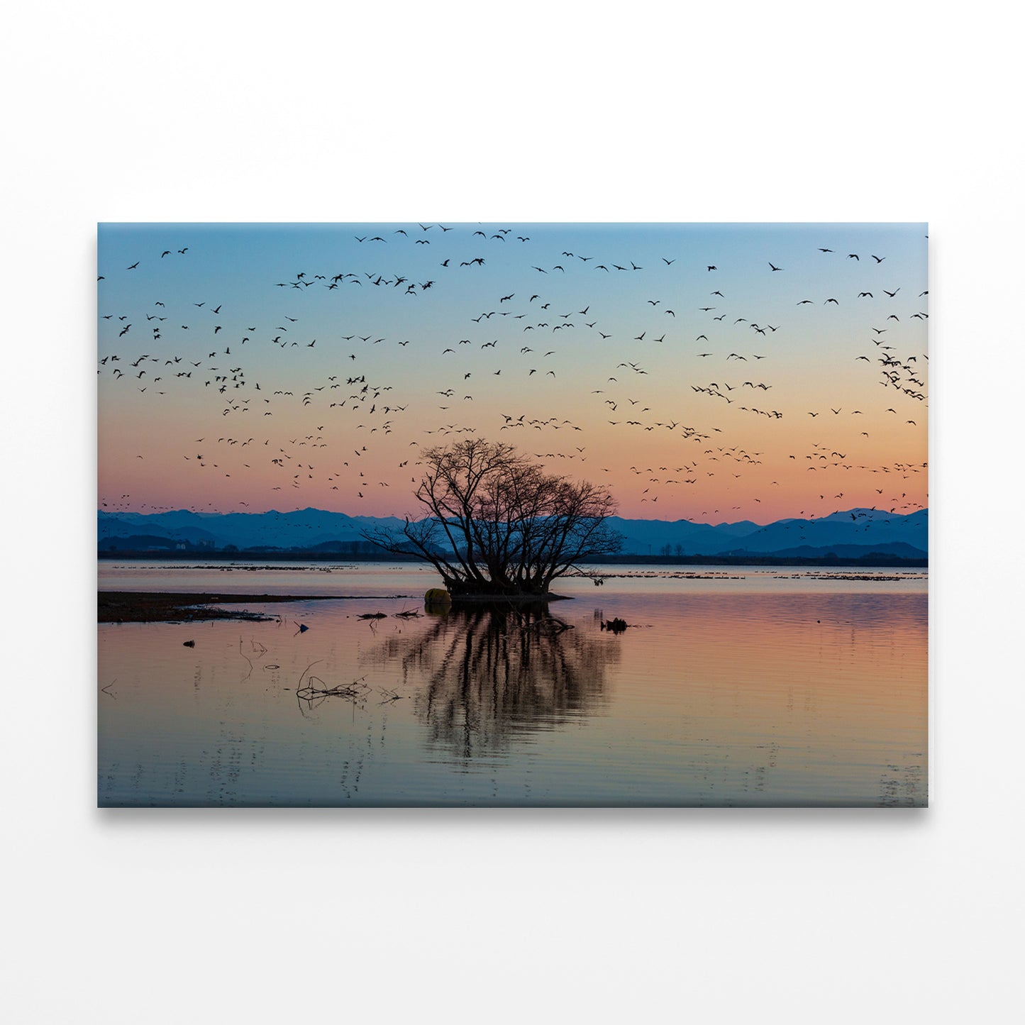 Winter Morning at Junam Reservoir, Korea Wall Art Decor 100% Australian Made - Bella Home Decor