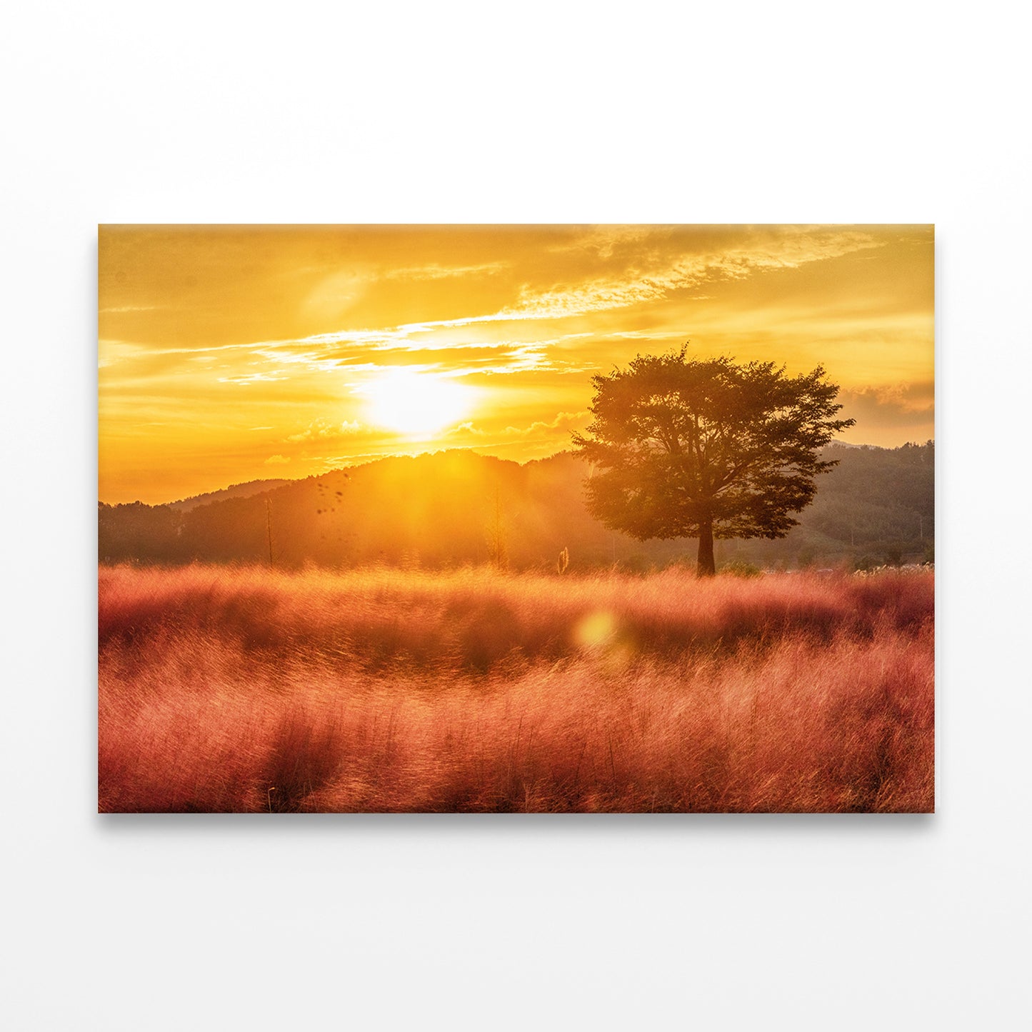 Autumn Field with Pink Mully Bloom Wall Art Decor 100% Australian Made - Bella Home Decor