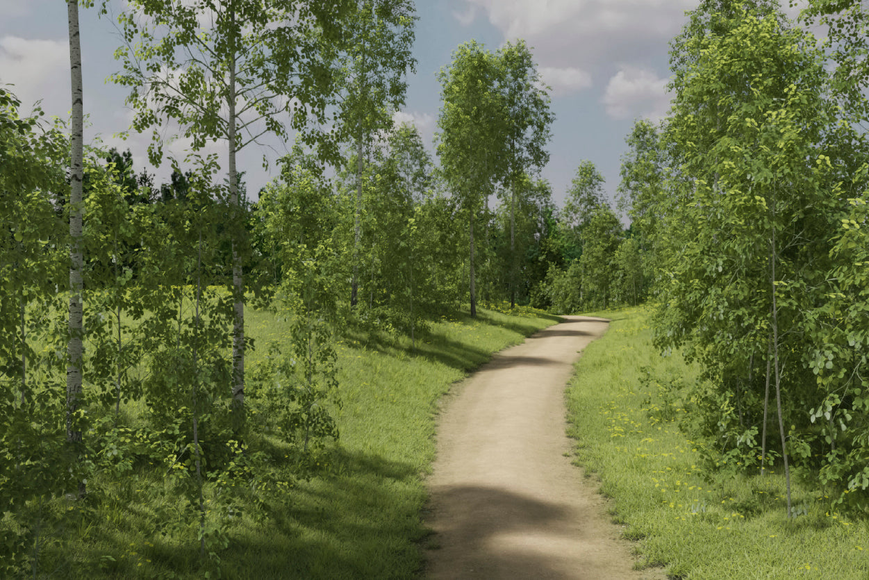 Path Surrounded By Trees of the Forest Home Decor Premium Quality Poster Print Choose Your Sizes - Bella Home Decor
