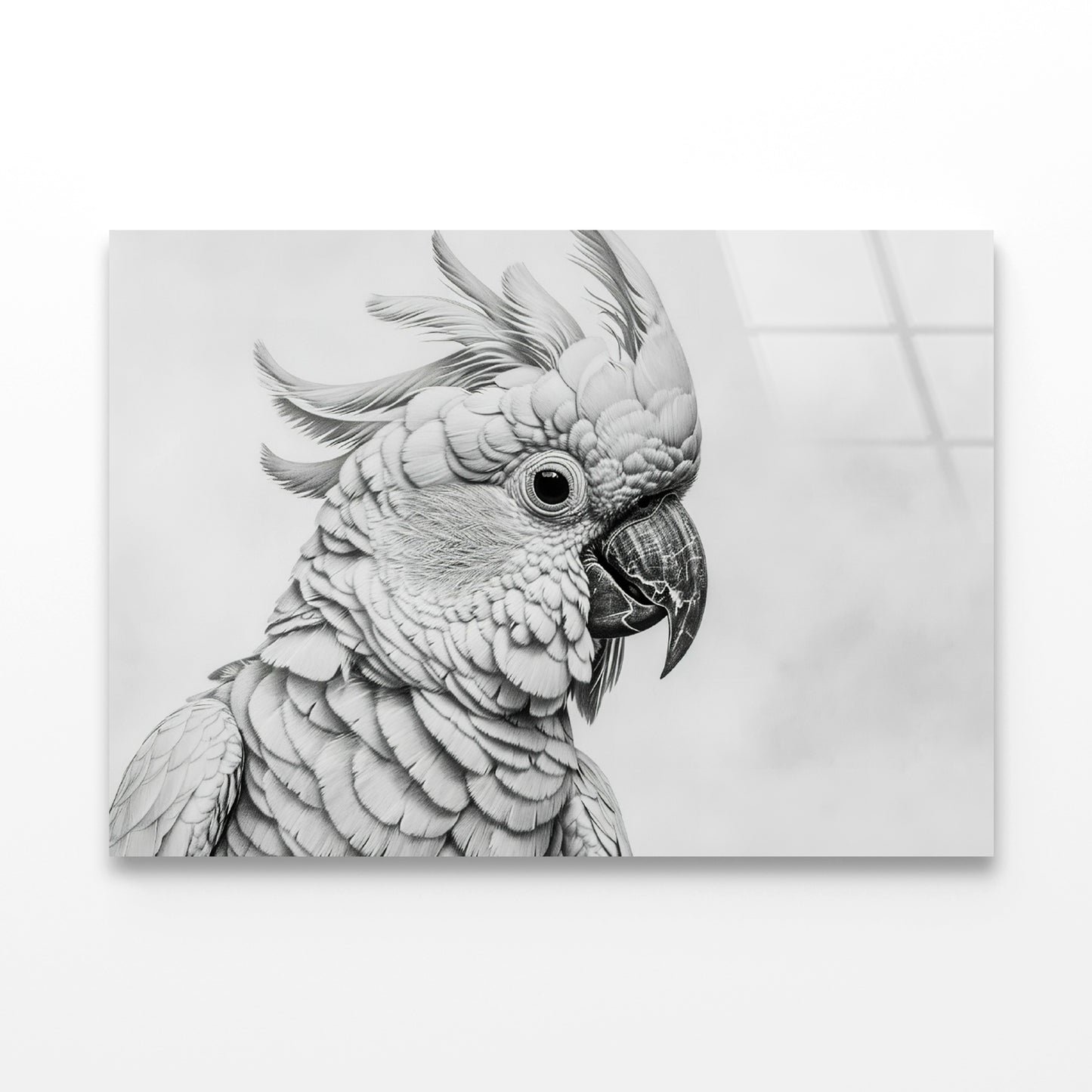 Sketch Of Cockatoo Bird in White Acrylic Glass Print Tempered Glass Wall Art 100% Made in Australia Ready to Hang - Bella Home Decor