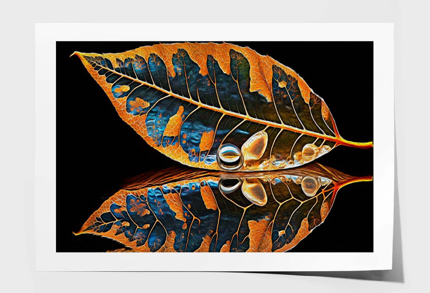 Skeletonized Transparent Leaf in Form of Curve Wall Art Limited Edition High Quality Print Unframed Roll Canvas None