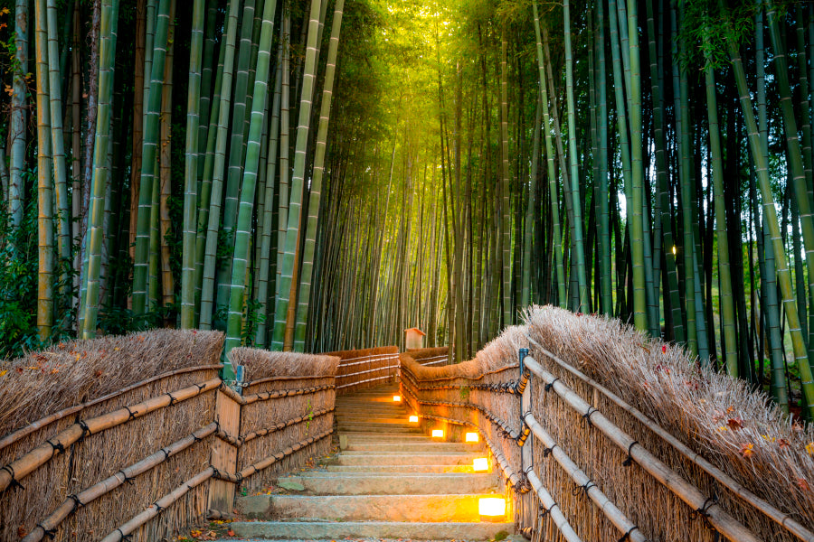 Arashiyama Bamboo Forest in Kyoto Japan Home Decor Premium Quality Poster Print Choose Your Sizes - Bella Home Decor