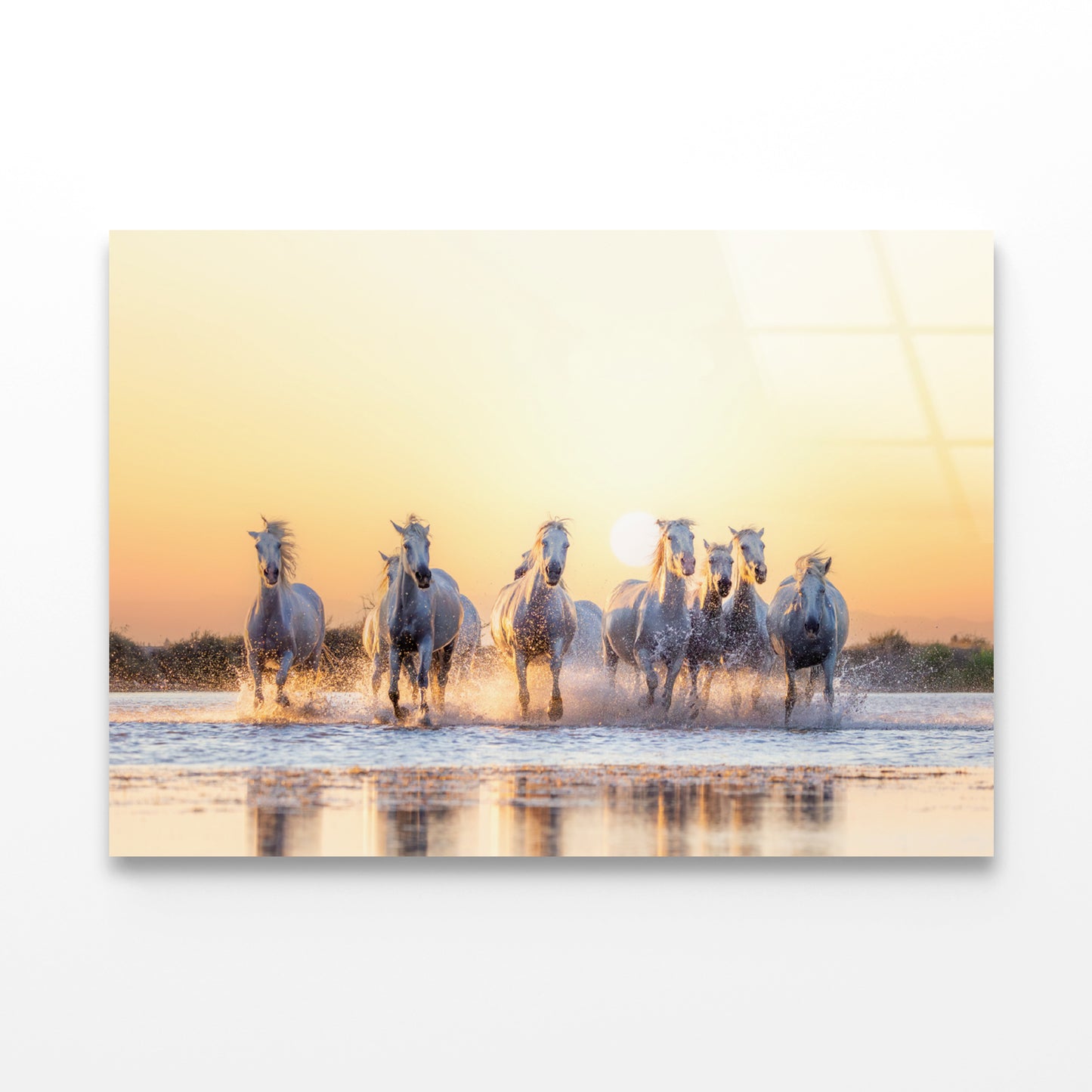 Herd Of Horses Running on Water Acrylic Glass Print Tempered Glass Wall Art 100% Made in Australia Ready to Hang - Bella Home Decor