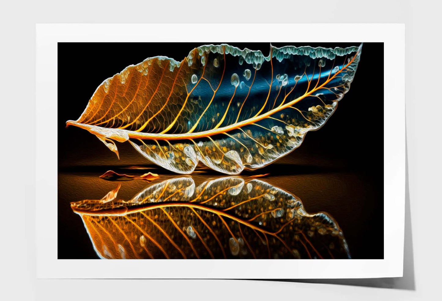 Skeletonized Transparent Leaf in Form of Curve Wall Art Limited Edition High Quality Print Unframed Roll Canvas None