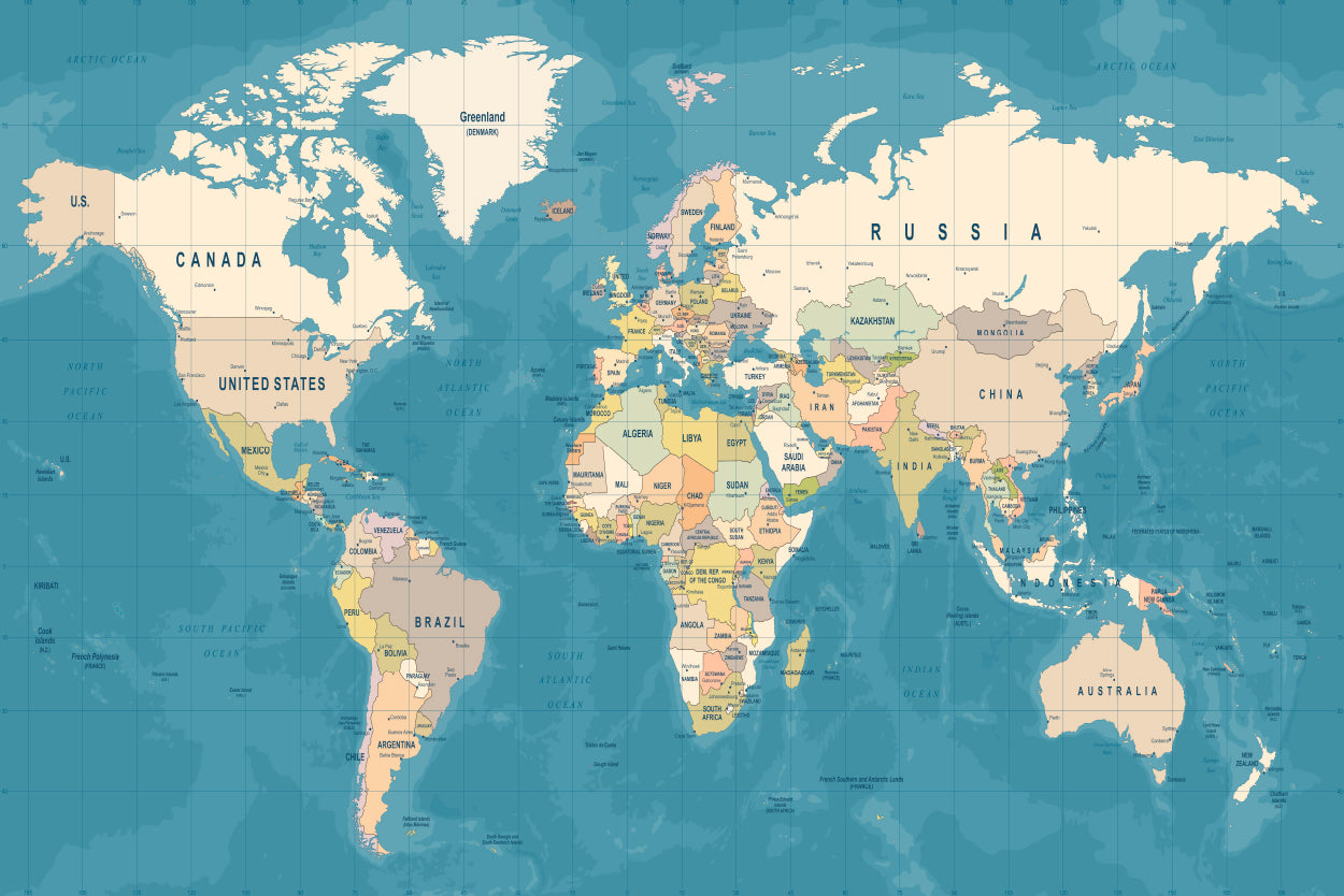 High Detailed Illustration of World Map Home Decor Premium Quality Poster Print Choose Your Sizes - Bella Home Decor