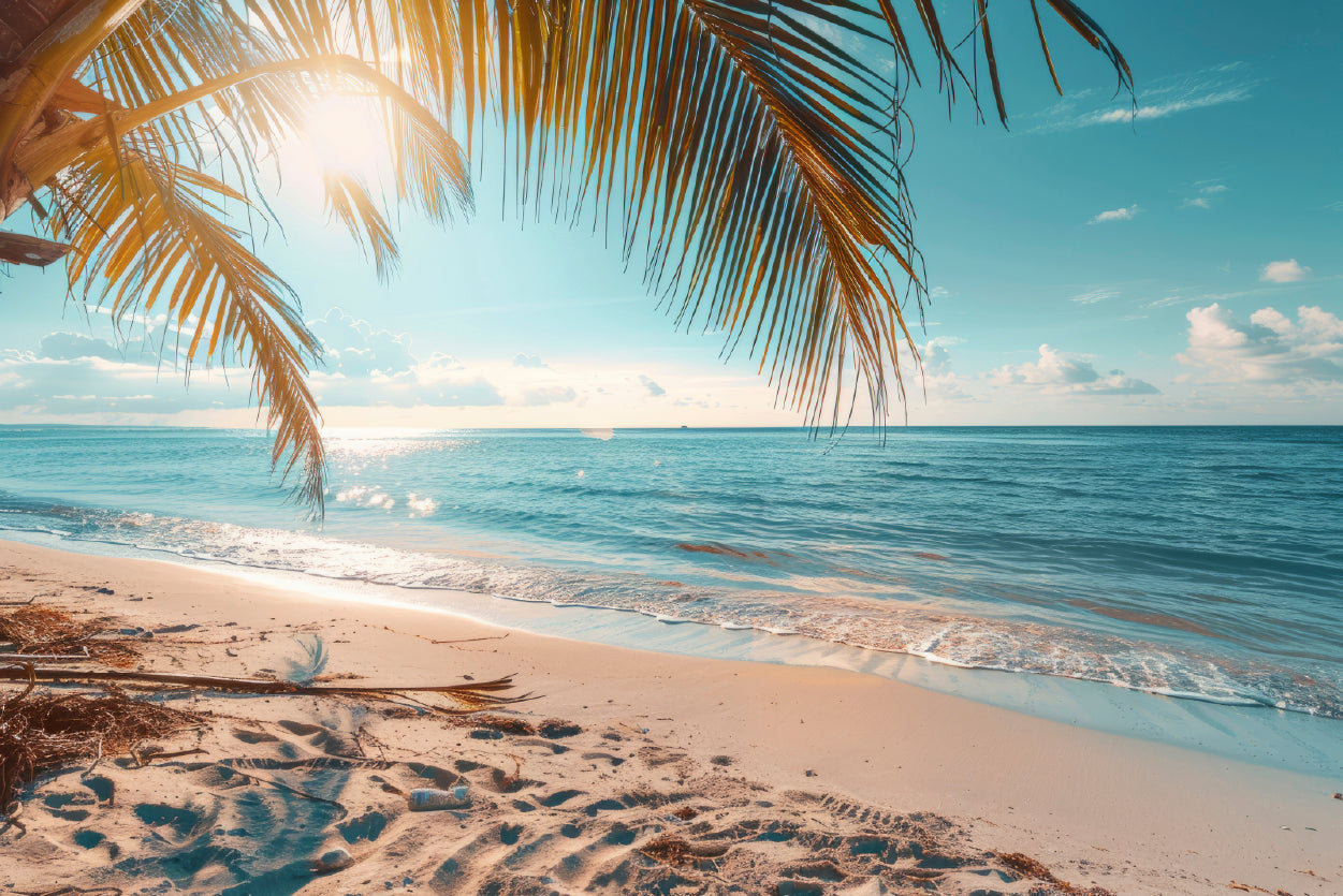 Sunny Tropical Beach with Clear Sky and Gentle Waves Home Decor Premium Quality Poster Print Choose Your Sizes - Bella Home Decor