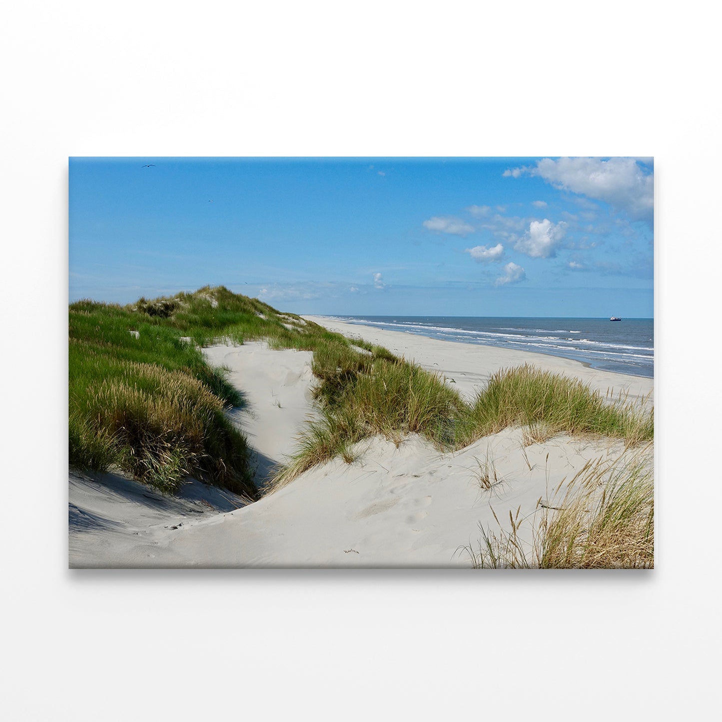 Beach Dunes on Ameland Island Wall Art Decor 100% Australian Made