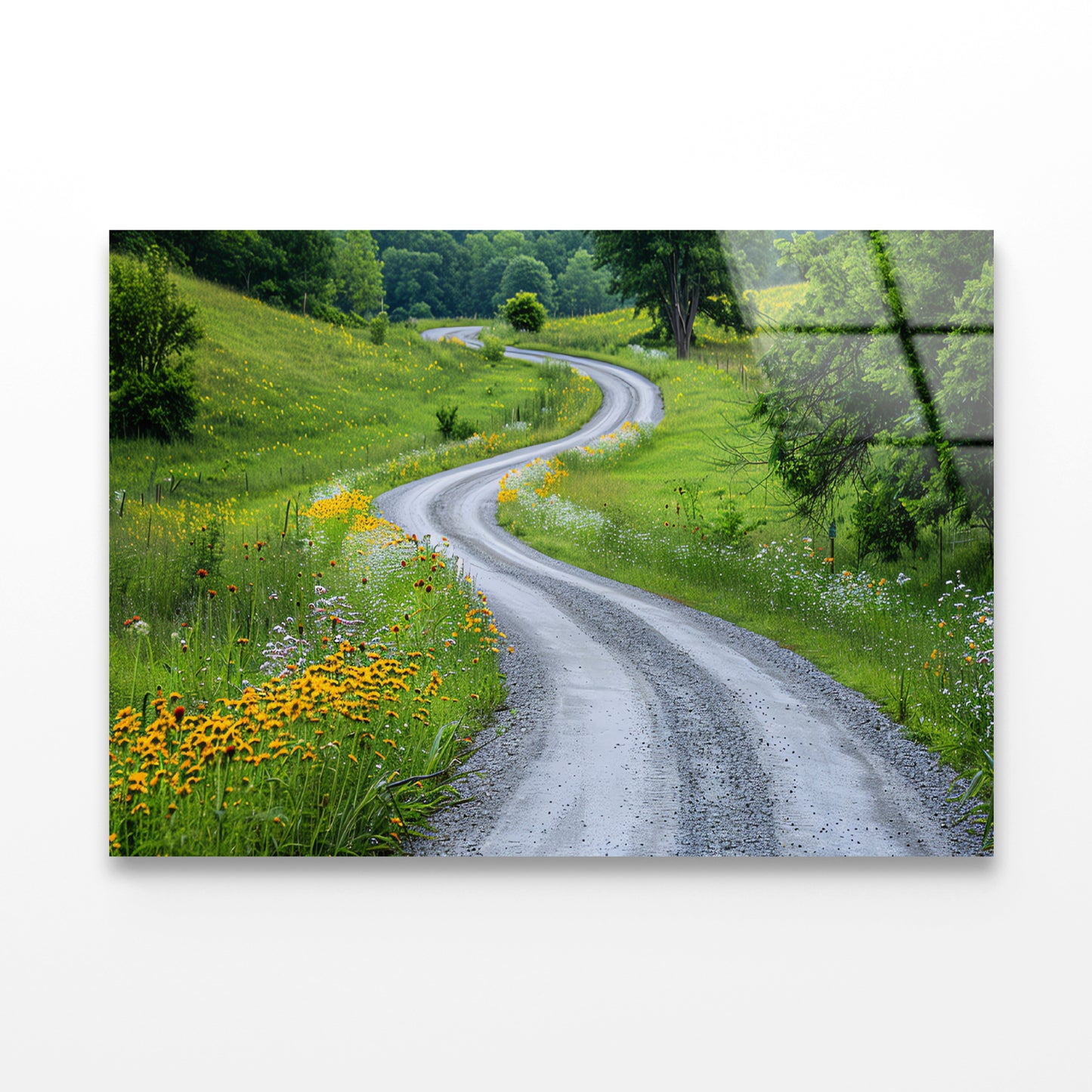 Road with Flowers & Trees Acrylic Glass Print Tempered Glass Wall Art 100% Made in Australia Ready to Hang - Bella Home Decor