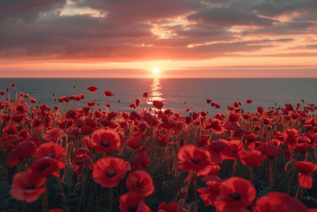 Stunning Sunset over a Sea Of Red Poppies Home Decor Premium Quality Poster Print Choose Your Sizes - Bella Home Decor