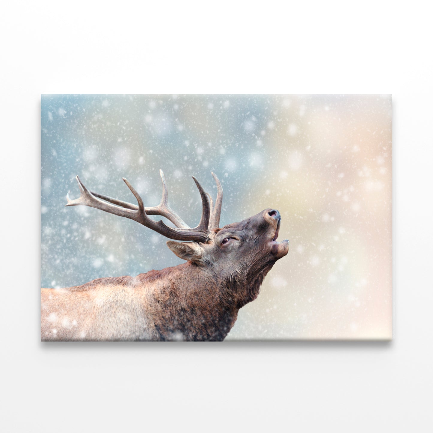 Deer in Snow Winter Wonderland Wall Art Decor 100% Australian Made - Bella Home Decor
