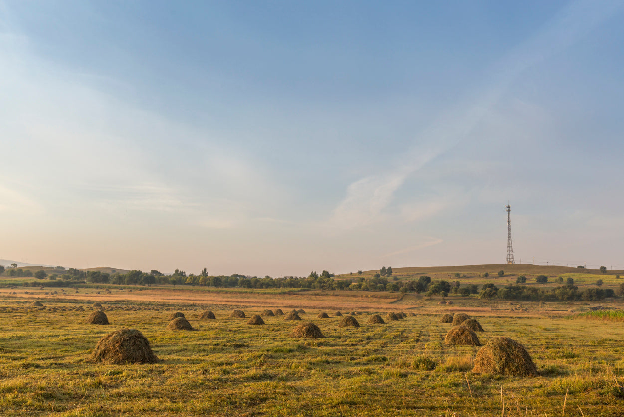 Autumn Grassland Beautiful Scenery in China Home Decor Premium Quality Poster Print Choose Your Sizes - Bella Home Decor