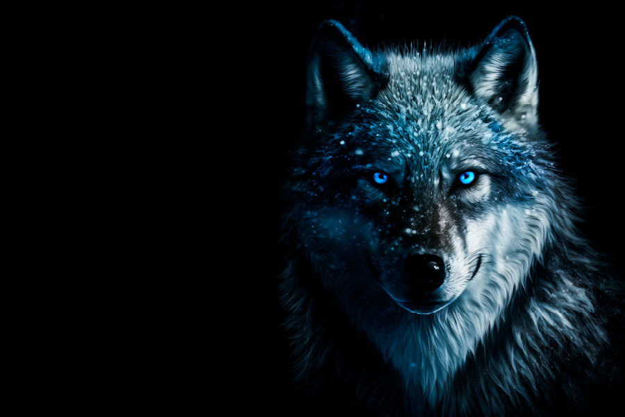 Wolf With Blue Eyes in The Dark Acrylic Glass Print Tempered Glass Wall Art 100% Made in Australia Ready to Hang - Bella Home Decor