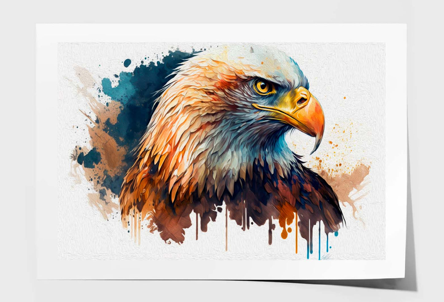 The American Bald Eagle, Head Wall Art Limited Edition High Quality Print Unframed Roll Canvas None