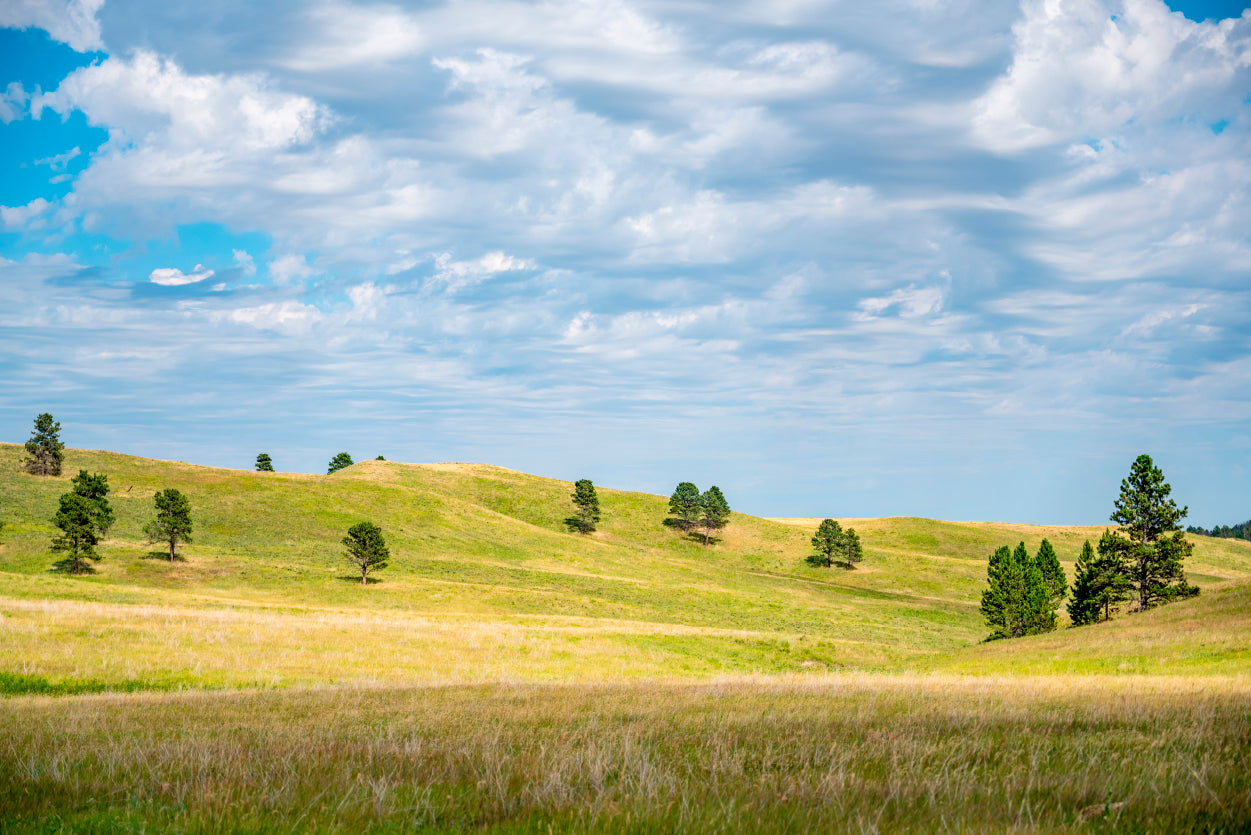 View of Open Grassland in South Dakota, USA Home Decor Premium Quality Poster Print Choose Your Sizes - Bella Home Decor