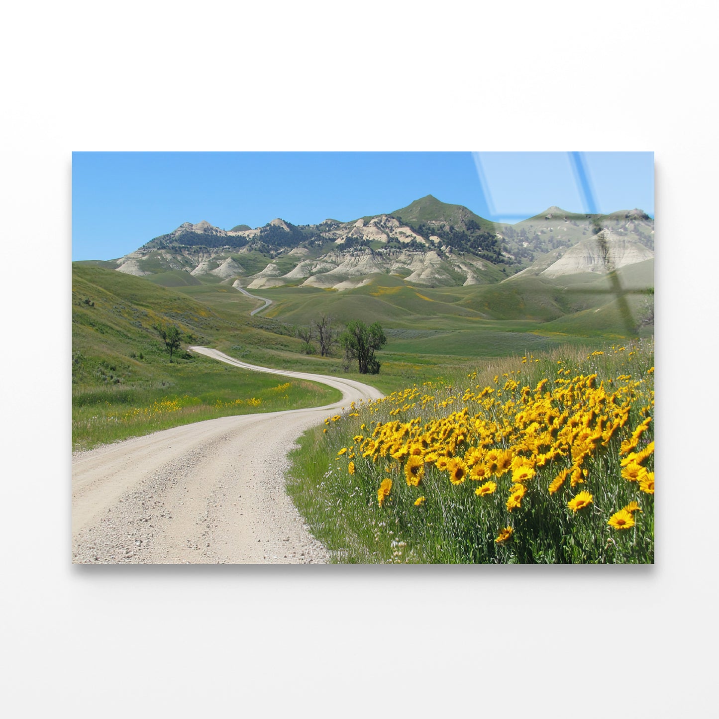 Field Of Yellow Flowers, Mountains & Road Acrylic Glass Print Tempered Glass Wall Art 100% Made in Australia Ready to Hang - Bella Home Decor