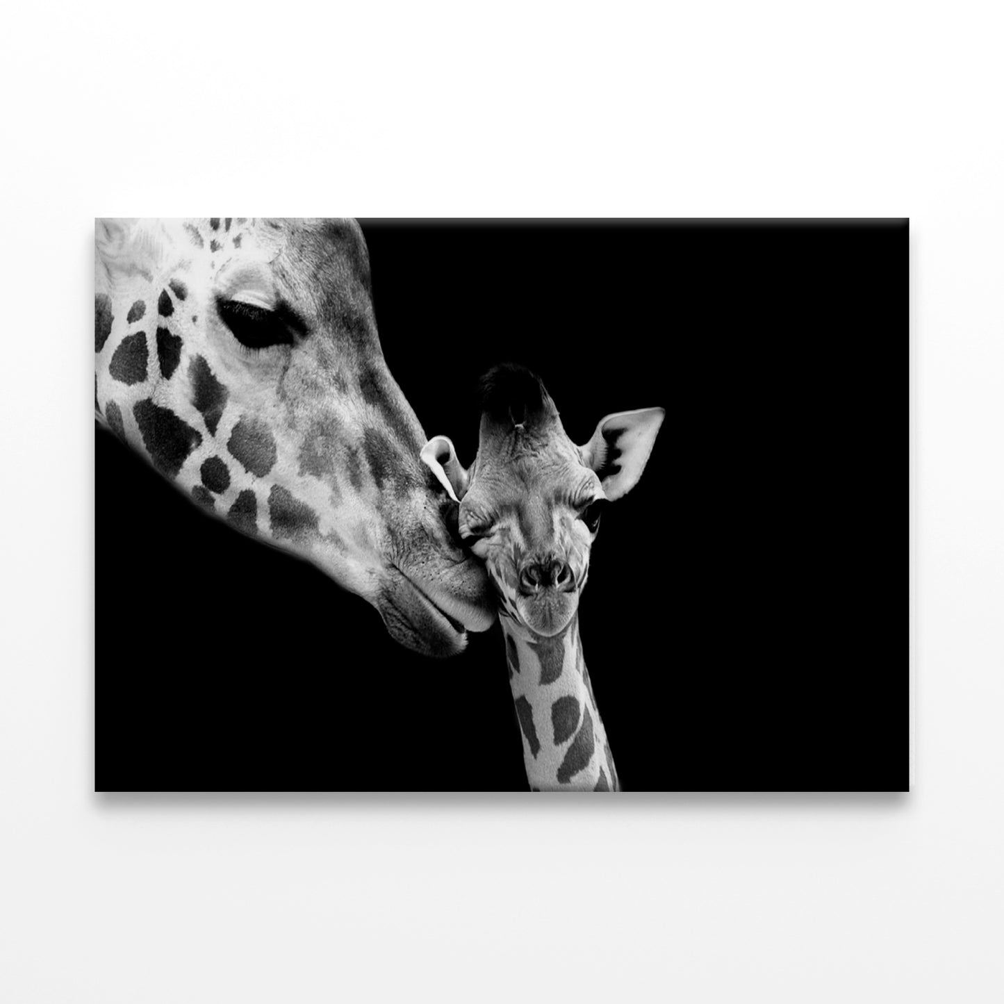 Mom and Baby Giraffe Faces Wall Art Decor 100% Australian Made - Bella Home Decor