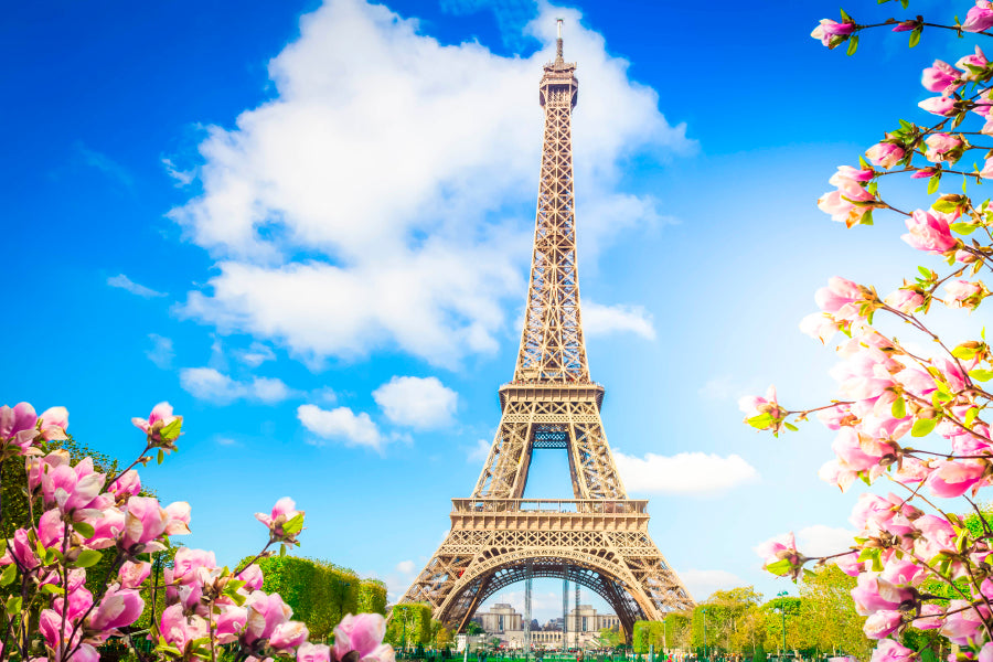 Eiffel Tower In Paris with Pink Flowers Acrylic Glass Print Tempered Glass Wall Art 100% Made in Australia Ready to Hang - Bella Home Decor
