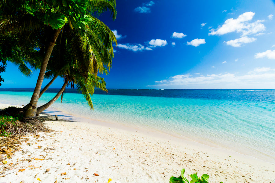 Palm Trees Ocean Beach Samoa Home Decor Premium Quality Poster Print Choose Your Sizes - Bella Home Decor