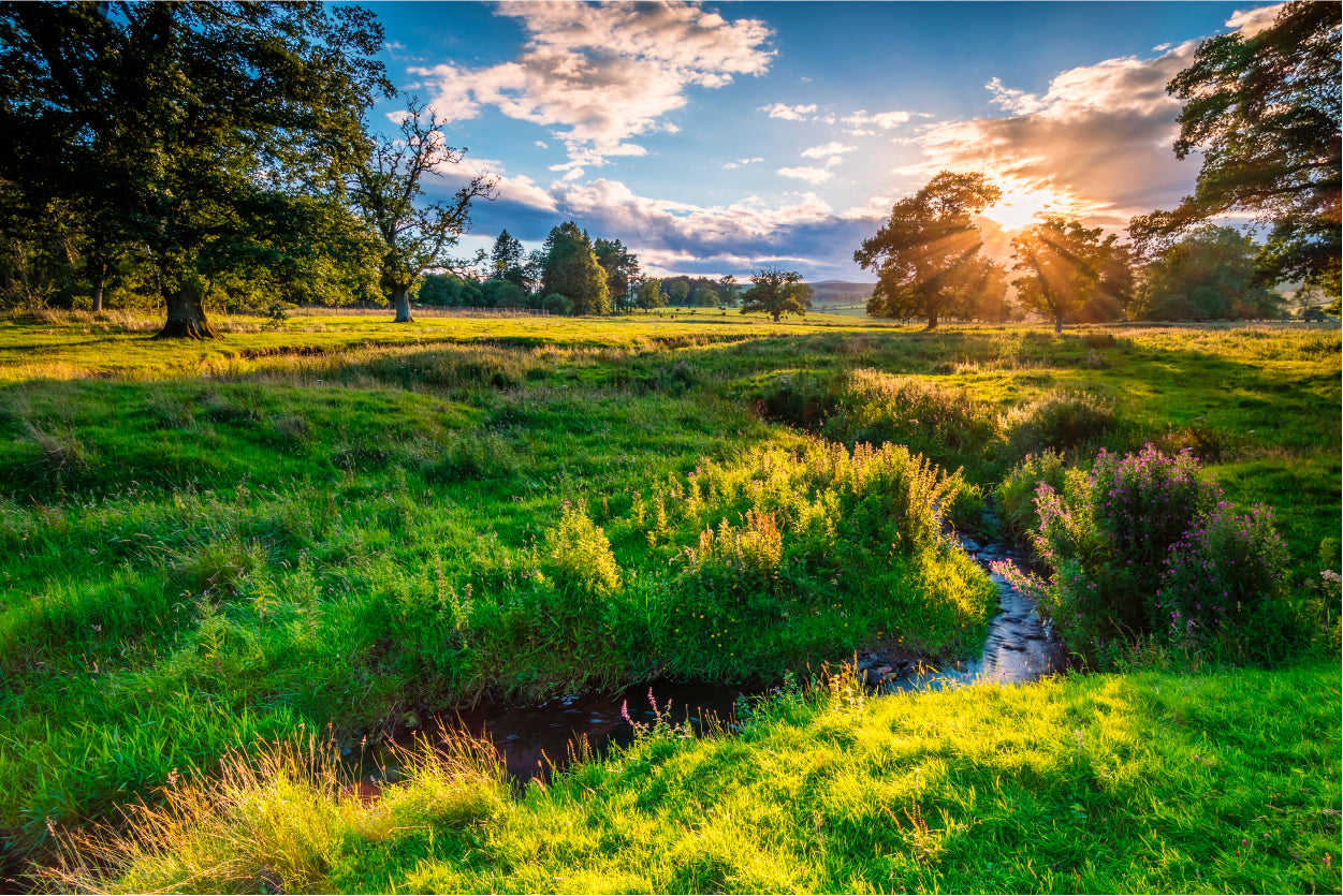 River Aln under Golden Light Home Decor Premium Quality Poster Print Choose Your Sizes - Bella Home Decor