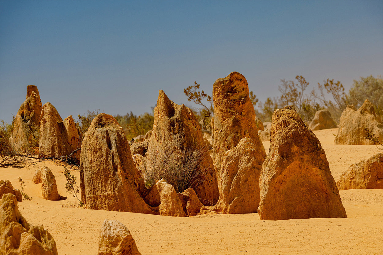 The Pinnacles Desert Western Australia Limestone Wall Art Decor 100% Australian Made