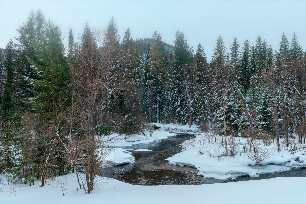 Winter Landscapes in Siberia Home Decor Premium Quality Poster Print Choose Your Sizes - Bella Home Decor