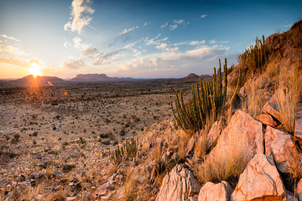 Rocks, Plants & Mountains in South Africa Home Decor Premium Quality Poster Print Choose Your Sizes - Bella Home Decor