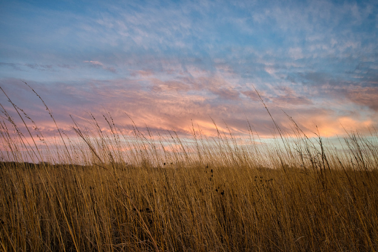 Sunset over Grasses with Beautiful Sky Home Decor Premium Quality Poster Print Choose Your Sizes - Bella Home Decor