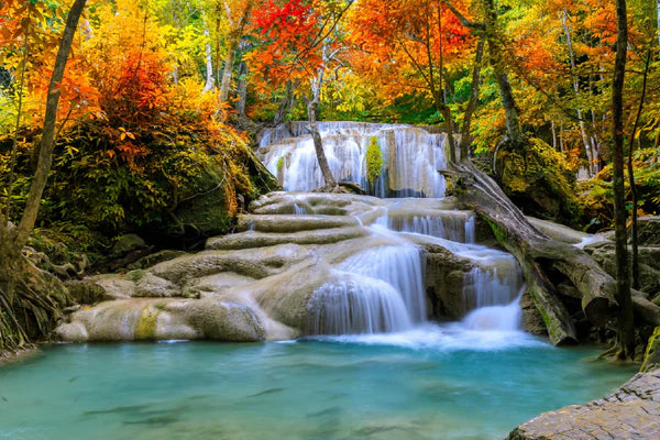 Waterfall In Autumn Forest 90x60cm Print 100% Australian Made - Bella Home Decor