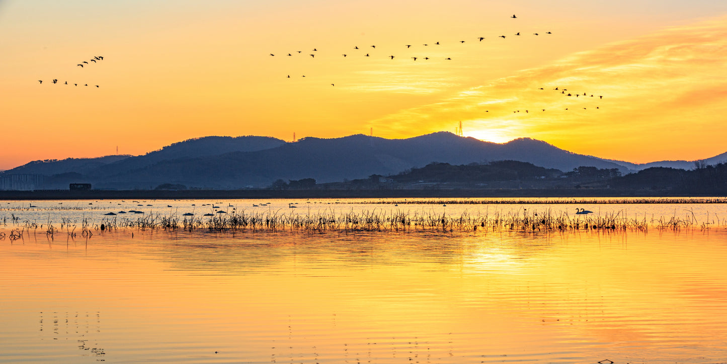 Sunset Lake Birds Flying Horizon Wall Art Canvas Office Home Room Framed 120x60cm