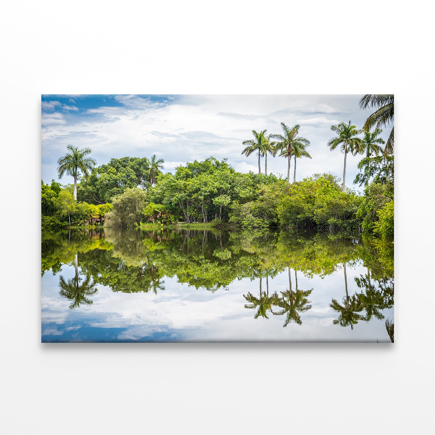 Palm Trees Reflected in Lake, Miami Wall Art Decor 100% Australian Made - Bella Home Decor
