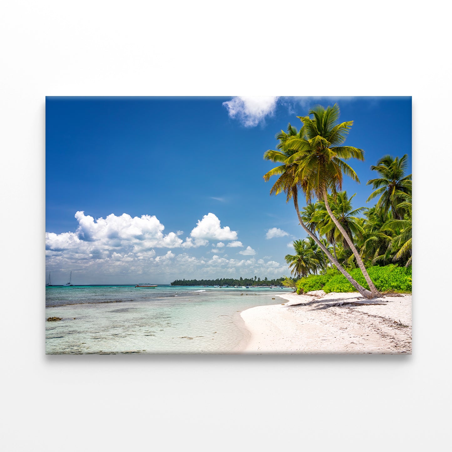 Tropical Beach with Palm Trees Wall Art Decor 100% Australian Made