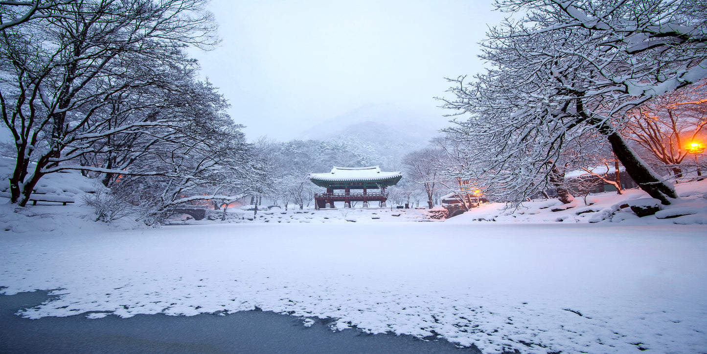 Baekyangsa Temple Falling Snow Naejangsan Mountain Korea Wall Art Canvas Office Home Room Framed 120x60cm