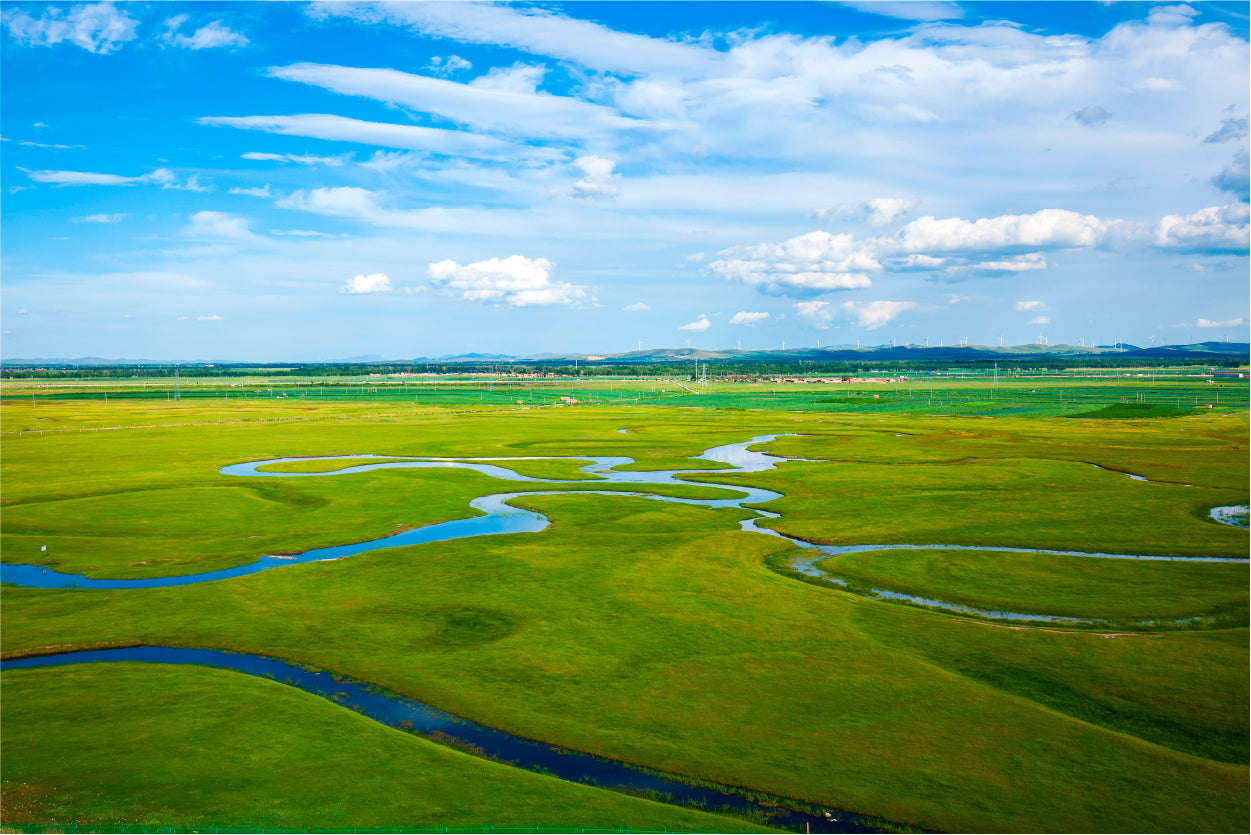 The River on the Grassland Home Decor Premium Quality Poster Print Choose Your Sizes - Bella Home Decor