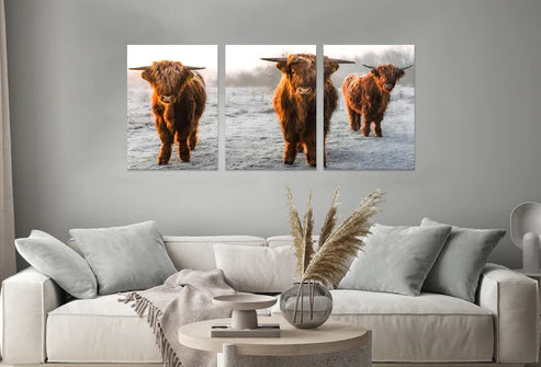 3pcs Highland Cow Photograph Vintage Design Wall Art Set Canvas Unframed - High Quality Print 100% Australian Made Wall Canvas