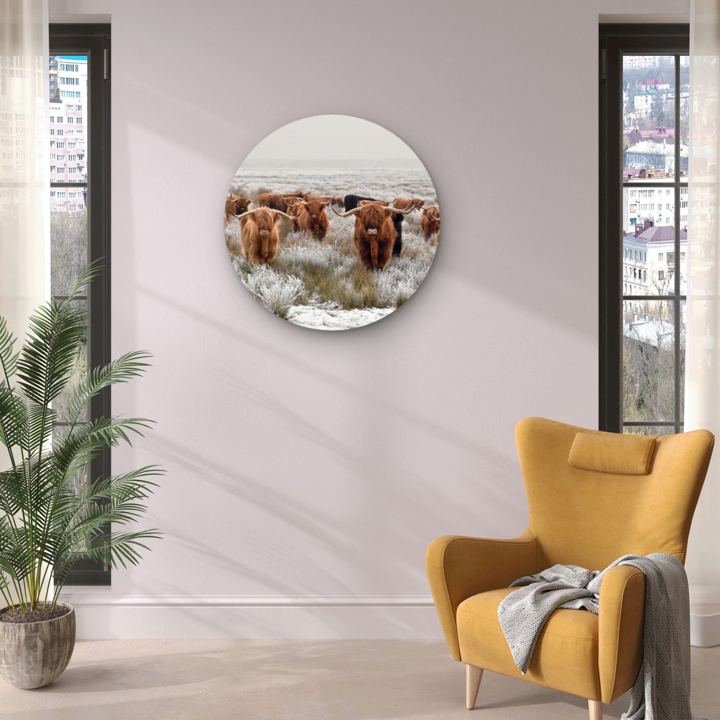 Highland Cow herd Acrylic Glass Rounded Print Tempered Glass Wall Art 100% Made in Australia Ready to Hang