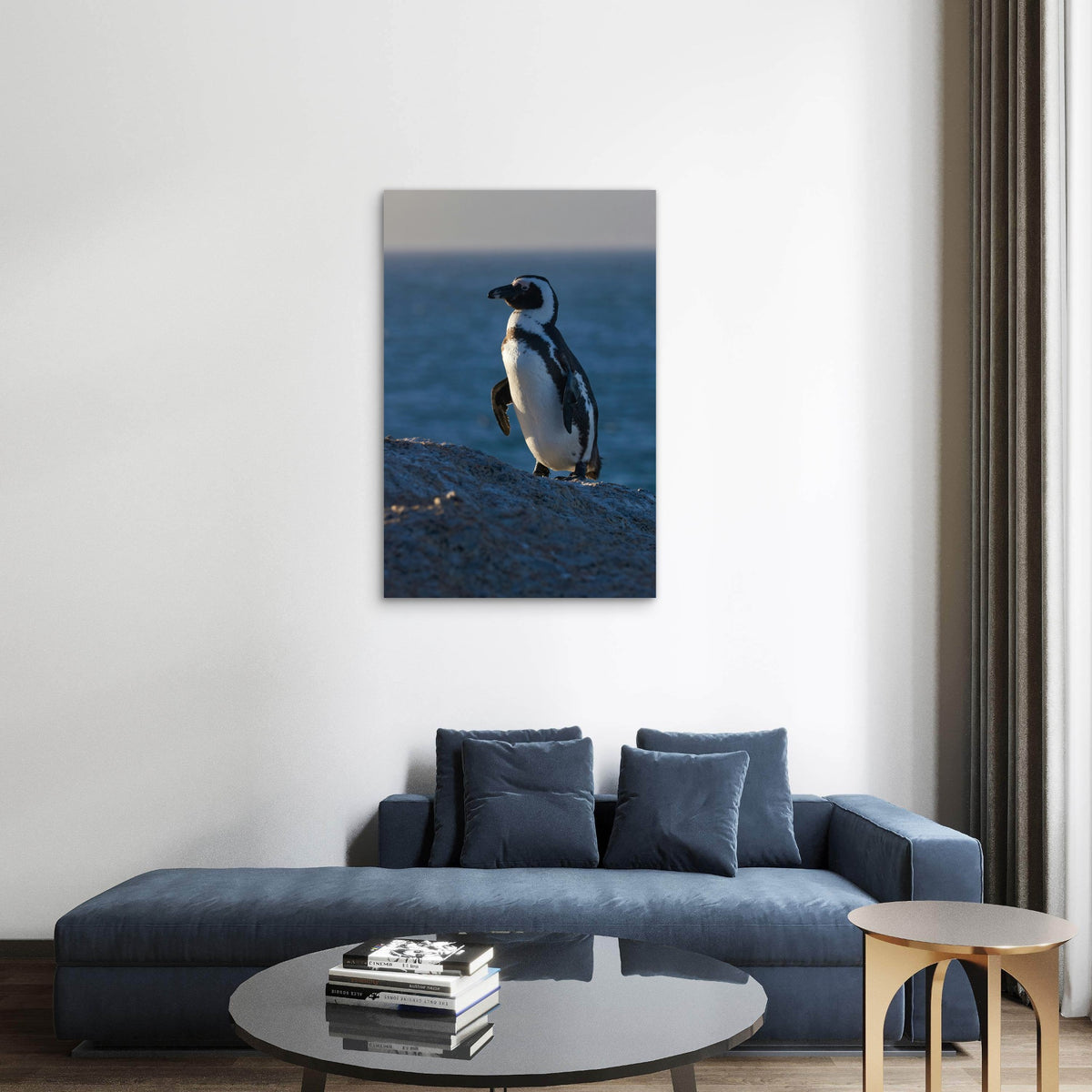 African Penguin with Ocean View 40x60cm Metal Print Ready to Hang