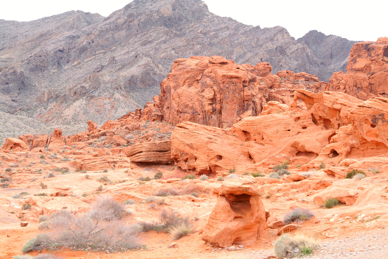 Red Rocks View with Mountains Home Decor Premium Quality Poster Print Choose Your Sizes - Bella Home Decor