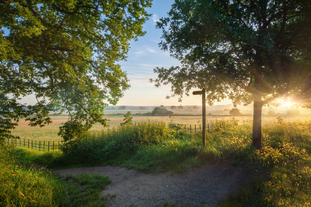 Footpath Sign In Rural Sunrise with Trees & Grass Home Decor Premium Quality Poster Print Choose Your Sizes - Bella Home Decor