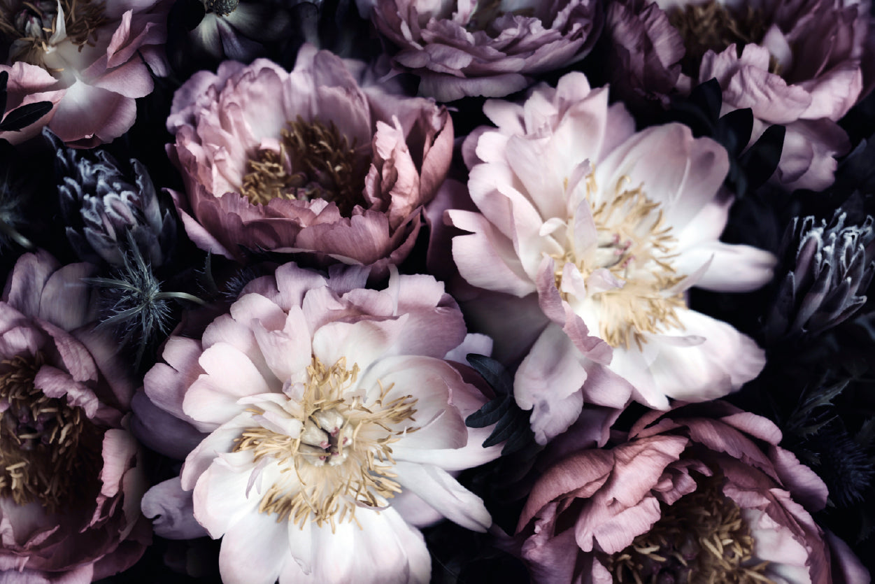 Group of Purple Flowers View Home Decor Premium Quality Poster Print Choose Your Sizes - Bella Home Decor