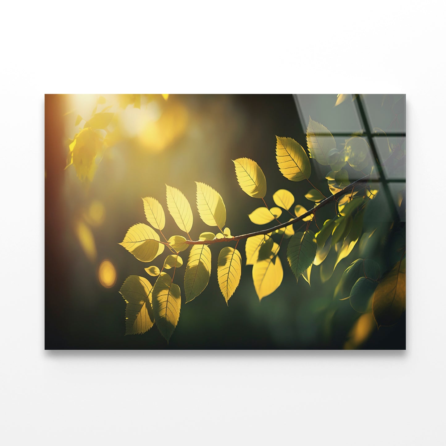Morning Sunshine, Branch and Leaf Acrylic Glass Print Tempered Glass Wall Art 100% Made in Australia Ready to Hang - Bella Home Decor